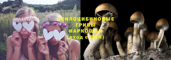 экстази Михайлов