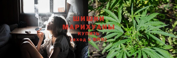 экстази Михайлов