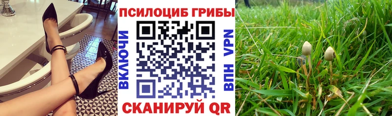 мега как войти Снежинск Галлюциногенные грибы Magic Shrooms