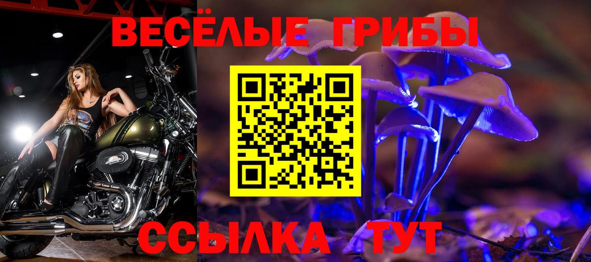 Галлюциногенные грибы Psilocybine cubensis  Галлюциногенные грибы MAGIC MUSHROOMS  Снежинск  Вход с VPN 